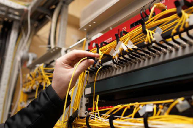 Domestic, Foreign Firms Eye Investment Opportunities